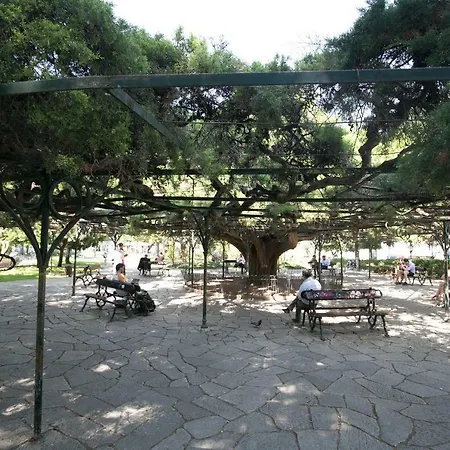 Sao Pedro De Alcantara - Bairro Alto